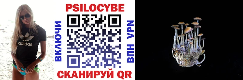 купить наркотики сайты Наволоки МЕГА tor Псилоцибиновые грибы MAGIC MUSHROOMS